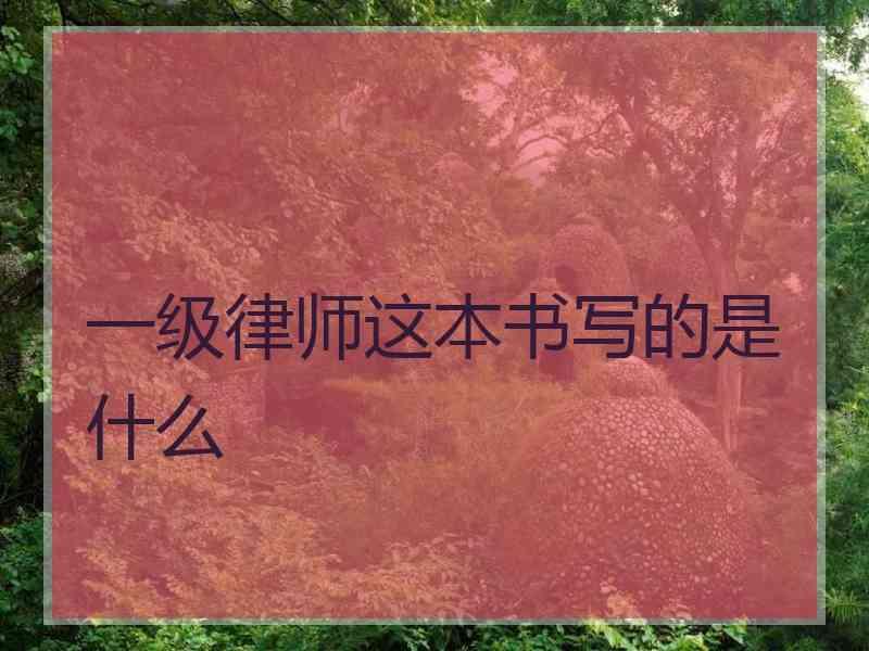 一级律师这本书写的是什么