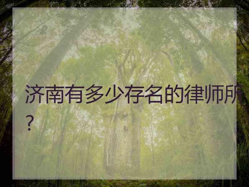 济南有多少存名的律师所?