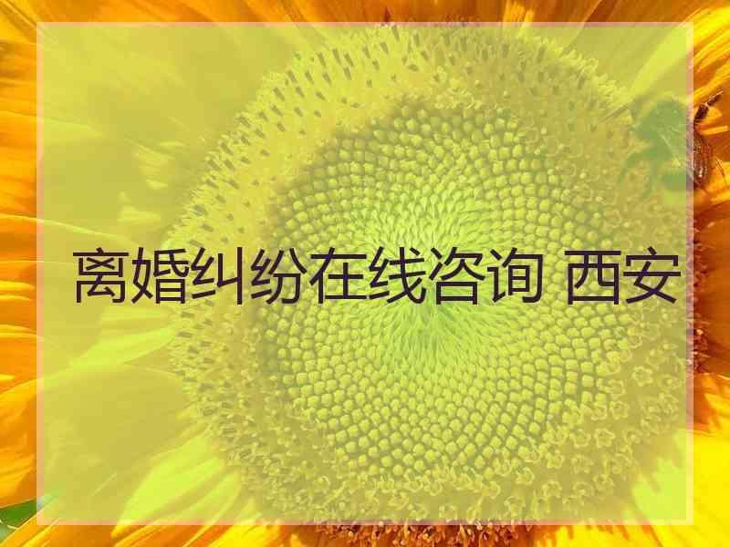 离婚纠纷在线咨询 西安