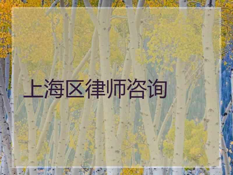 上海区律师咨询