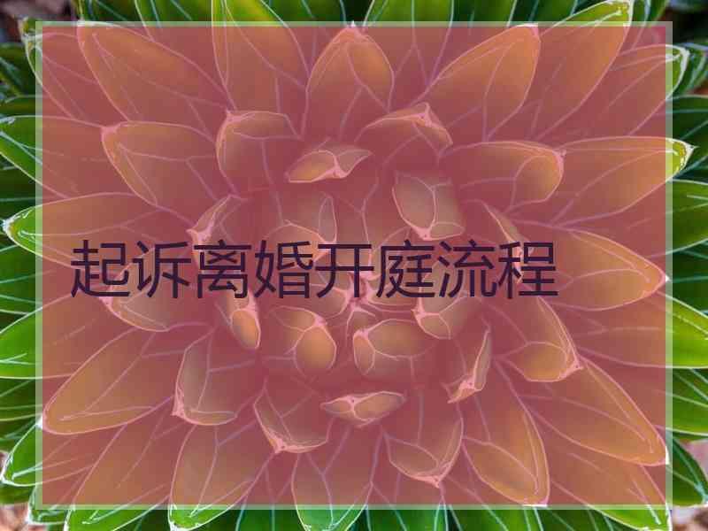 起诉离婚开庭流程