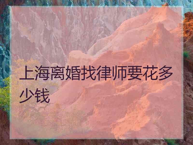 上海离婚找律师要花多少钱