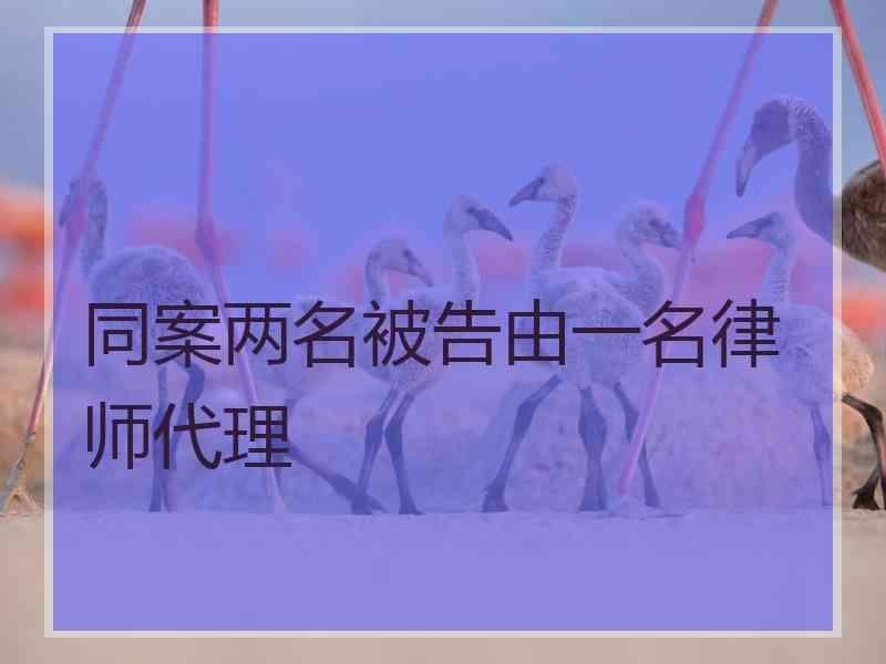 同案两名被告由一名律师代理