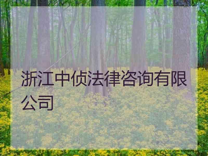 浙江中侦法律咨询有限公司