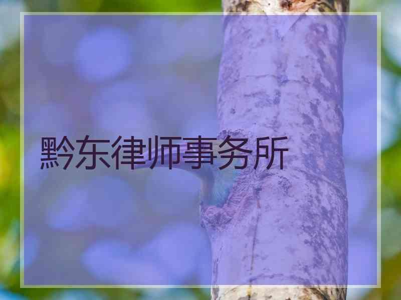 黔东律师事务所