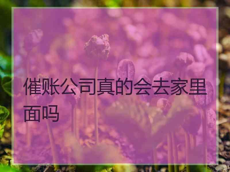 催账公司真的会去家里面吗