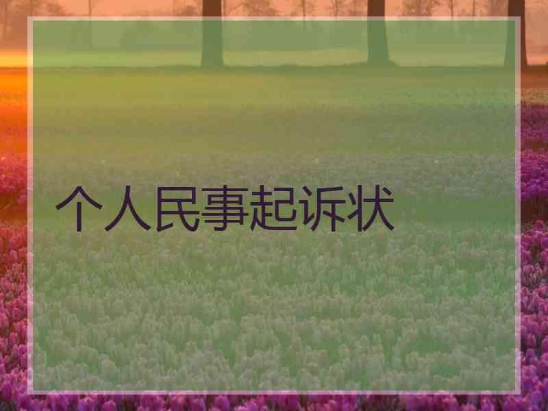 个人民事起诉状