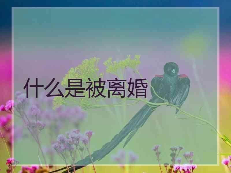 什么是被离婚