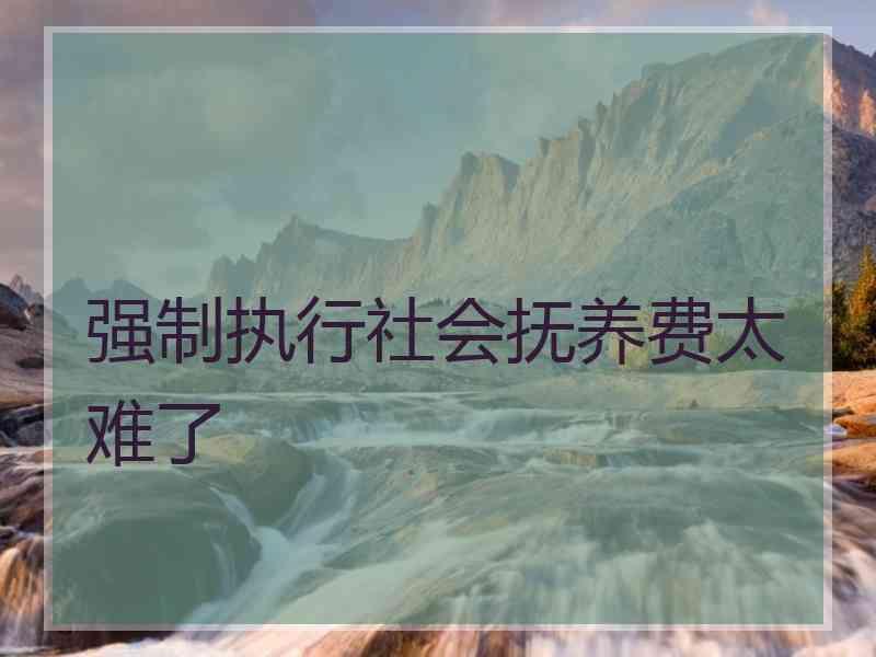 强制执行社会抚养费太难了