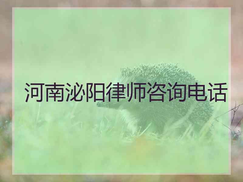 河南泌阳律师咨询电话