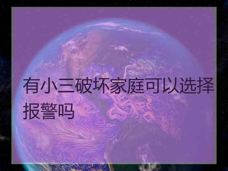 有小三破坏家庭可以选择报警吗