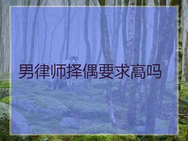 男律师择偶要求高吗