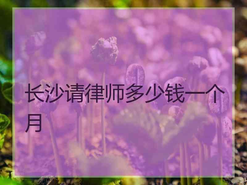 长沙请律师多少钱一个月