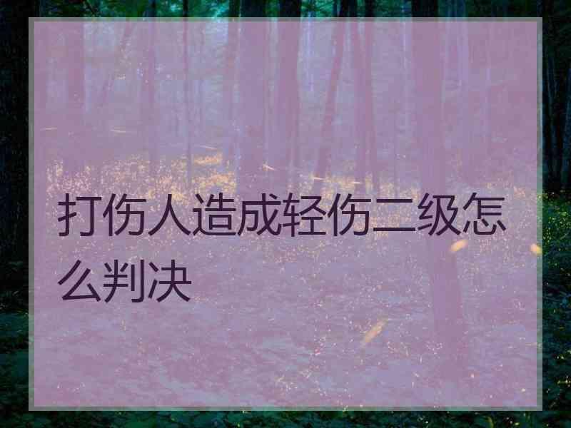 打伤人造成轻伤二级怎么判决