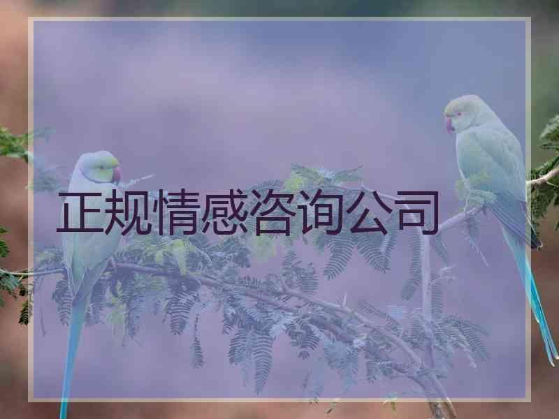 正规情感咨询公司