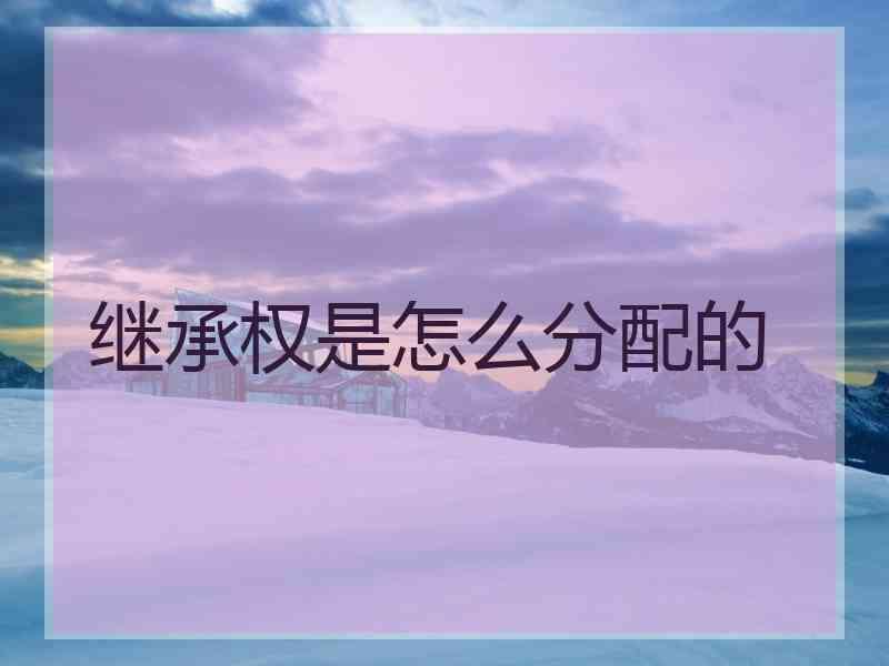 继承权是怎么分配的