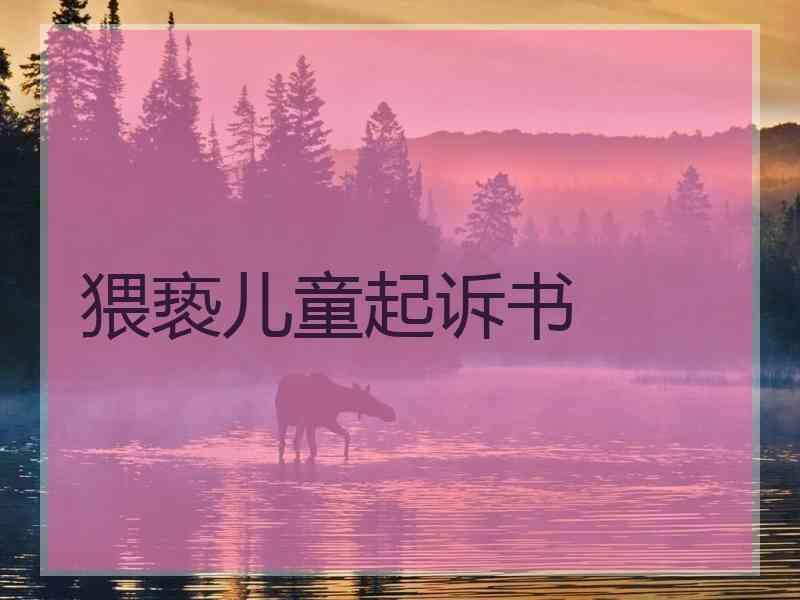 猥亵儿童起诉书