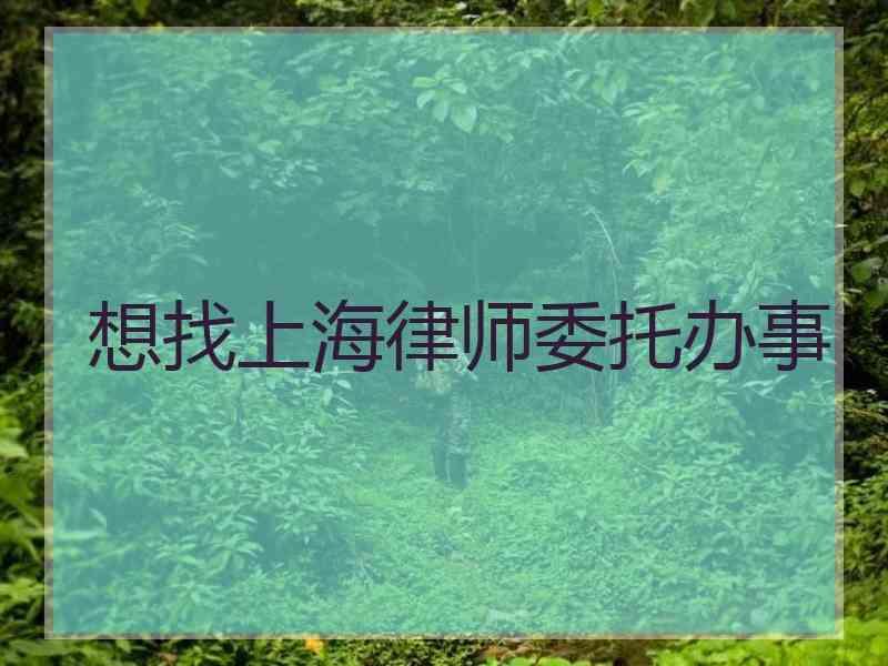 想找上海律师委托办事