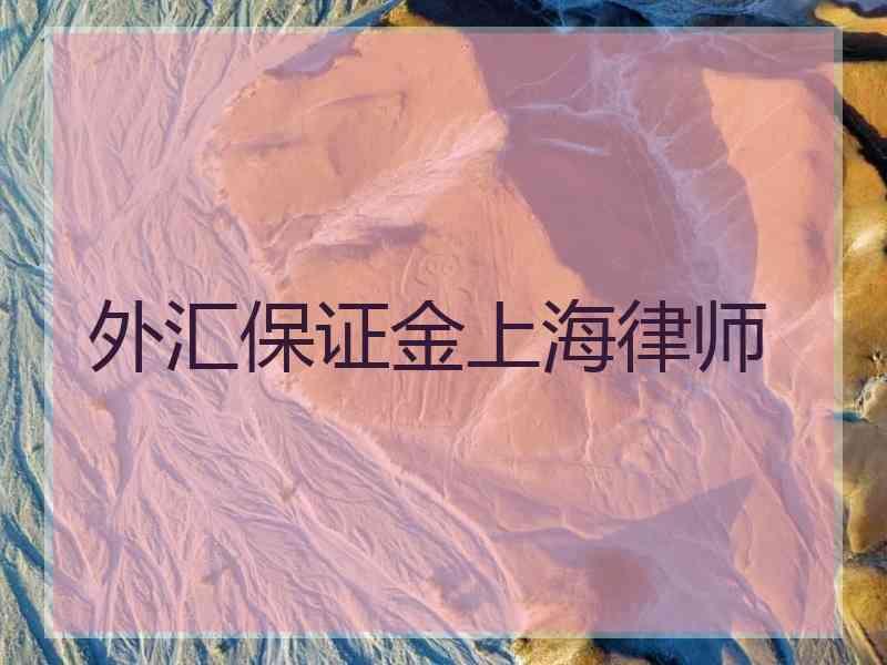 外汇保证金上海律师