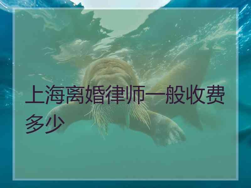 上海离婚律师一般收费多少