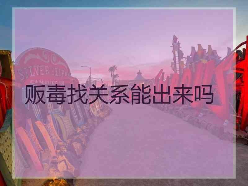 贩毒找关系能出来吗