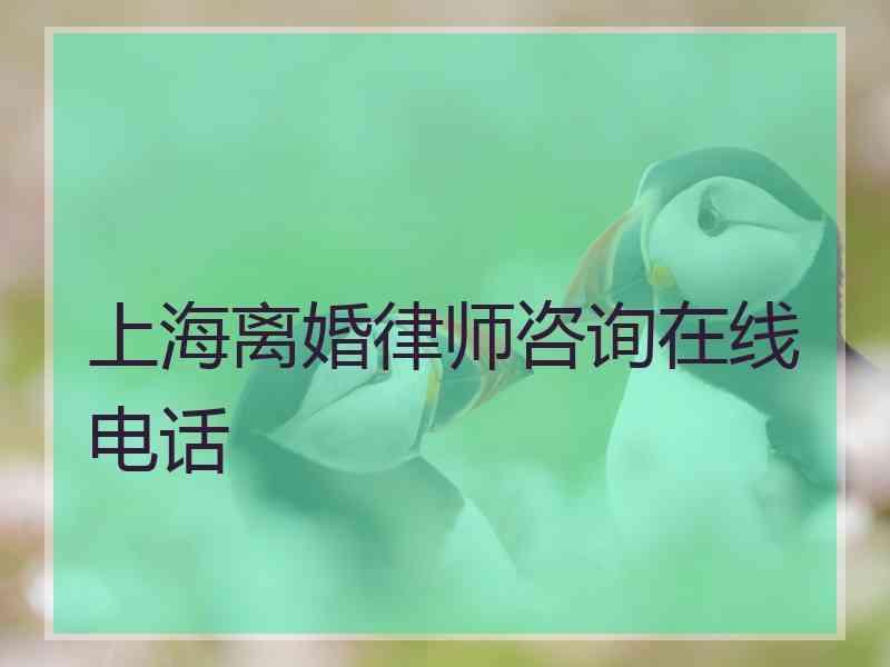 上海离婚律师咨询在线电话