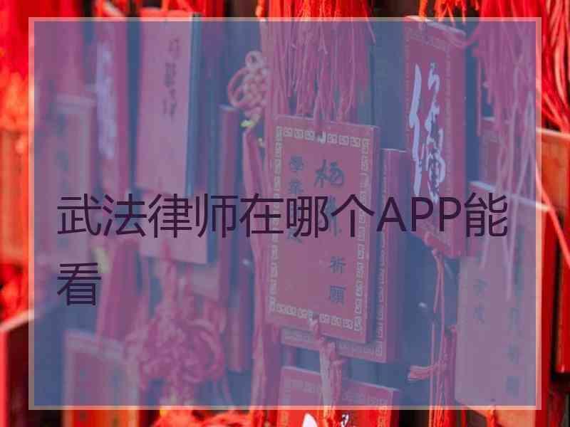 武法律师在哪个APP能看