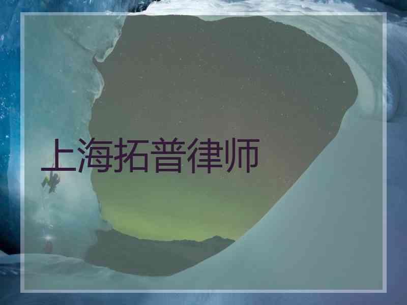 上海拓普律师