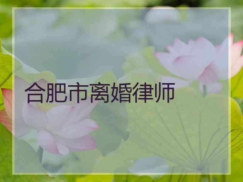 合肥市离婚律师