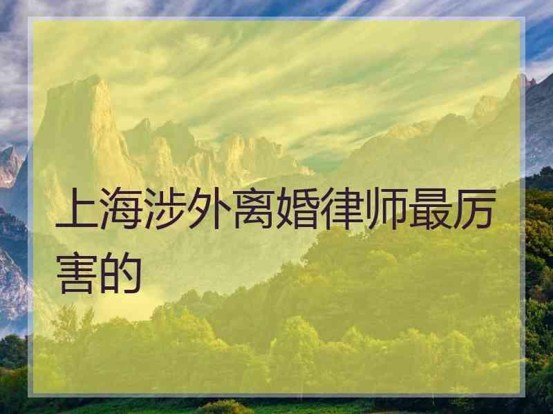 上海涉外离婚律师最厉害的