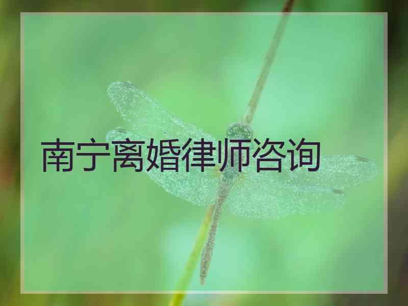 南宁离婚律师咨询