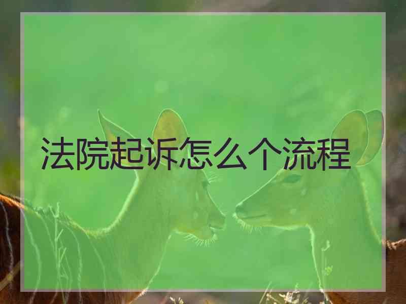 法院起诉怎么个流程