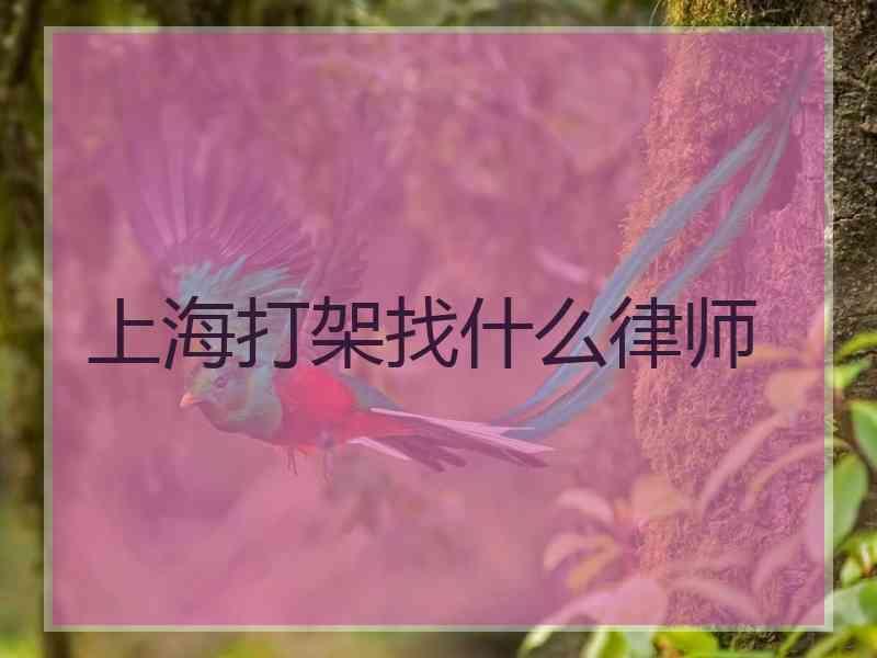 上海打架找什么律师