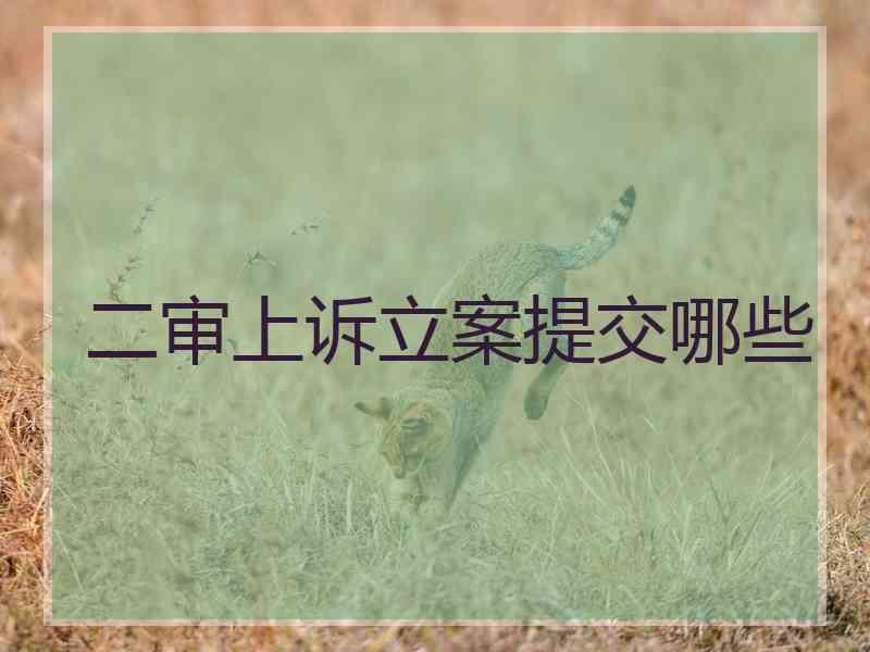 二审上诉立案提交哪些