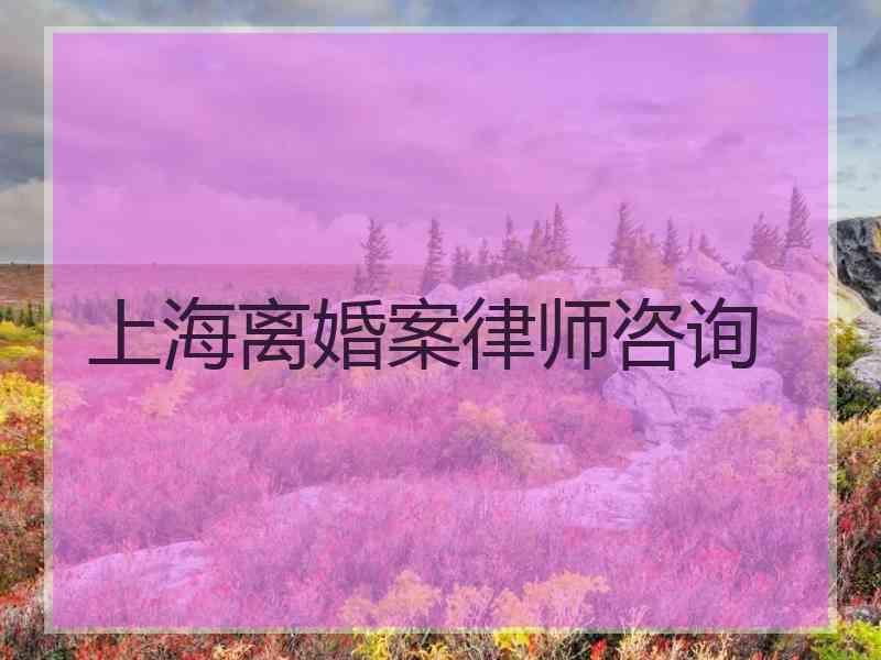 上海离婚案律师咨询