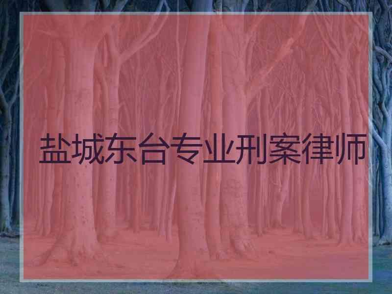 盐城东台专业刑案律师