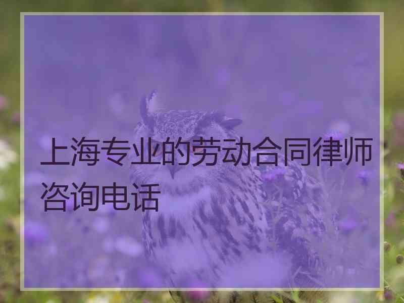 上海专业的劳动合同律师咨询电话