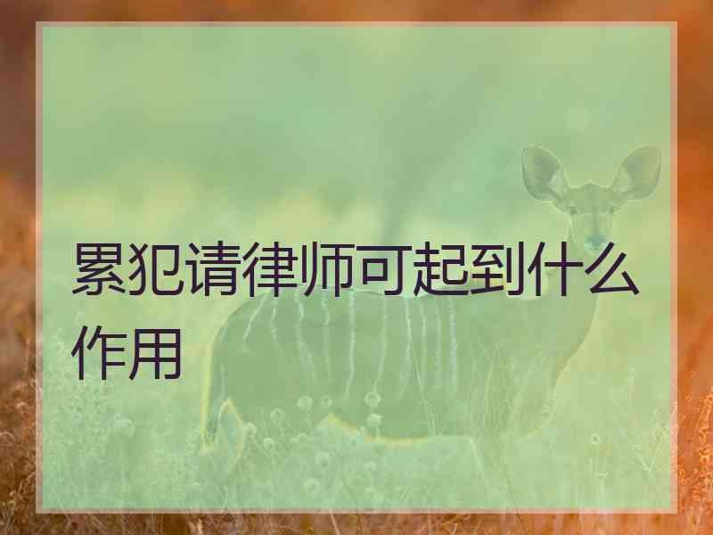 累犯请律师可起到什么作用
