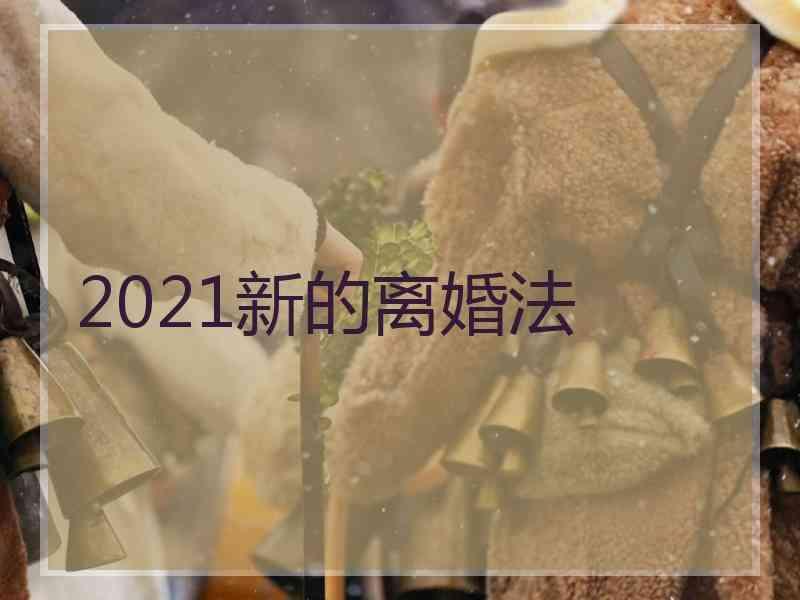 2021新的离婚法