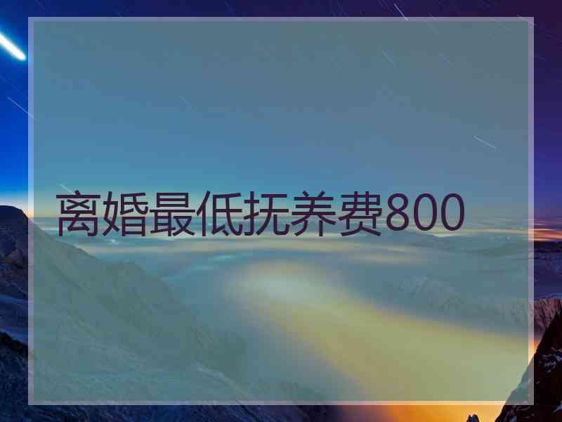 离婚最低抚养费800