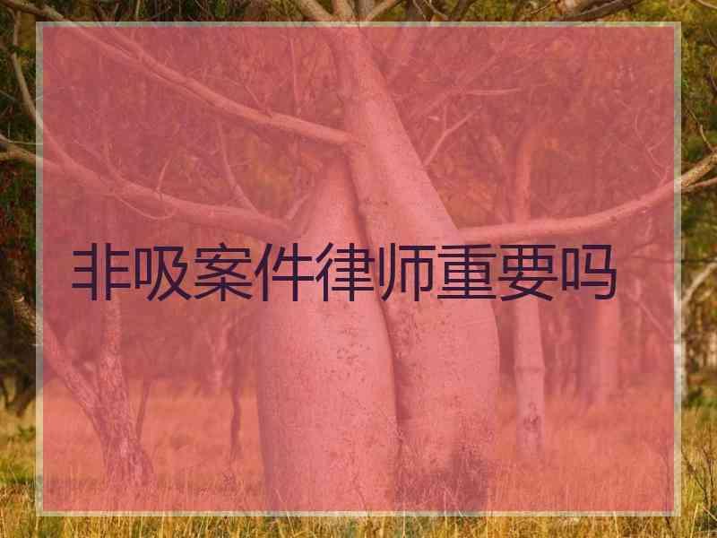 非吸案件律师重要吗