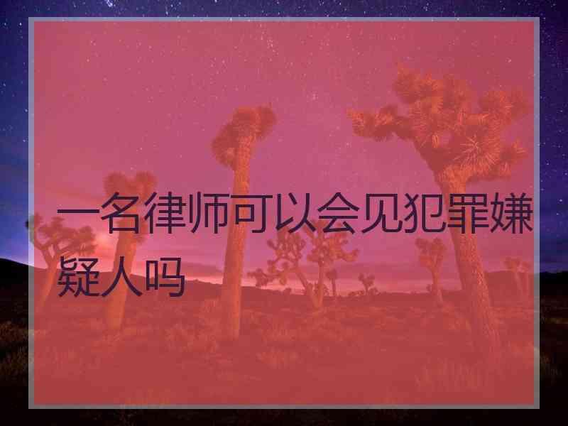 一名律师可以会见犯罪嫌疑人吗