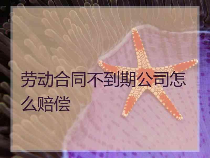 劳动合同不到期公司怎么赔偿