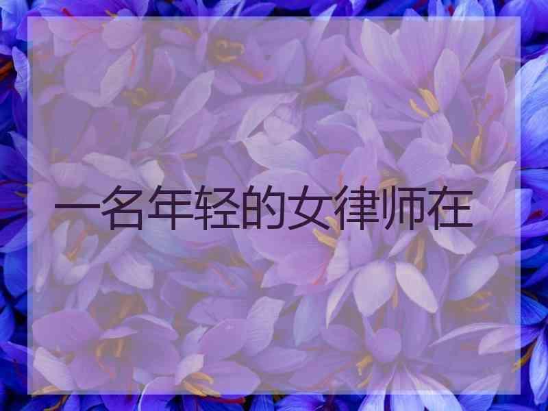 一名年轻的女律师在