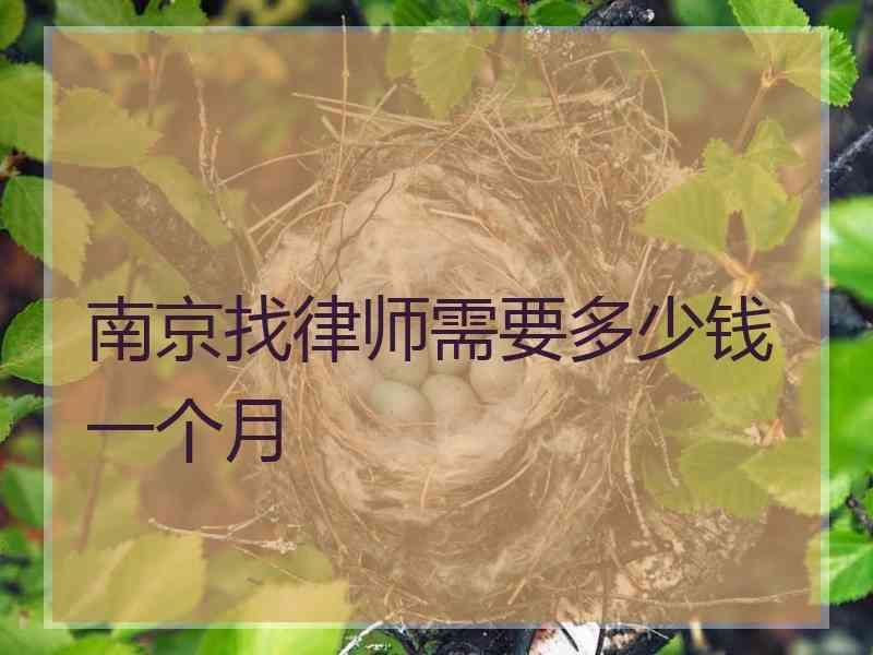 南京找律师需要多少钱一个月