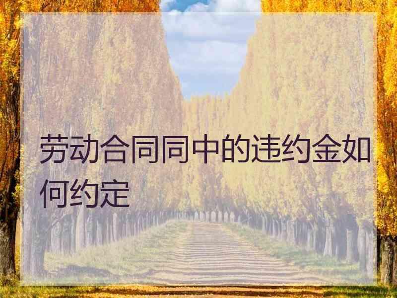 劳动合同同中的违约金如何约定