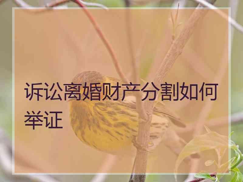 诉讼离婚财产分割如何举证