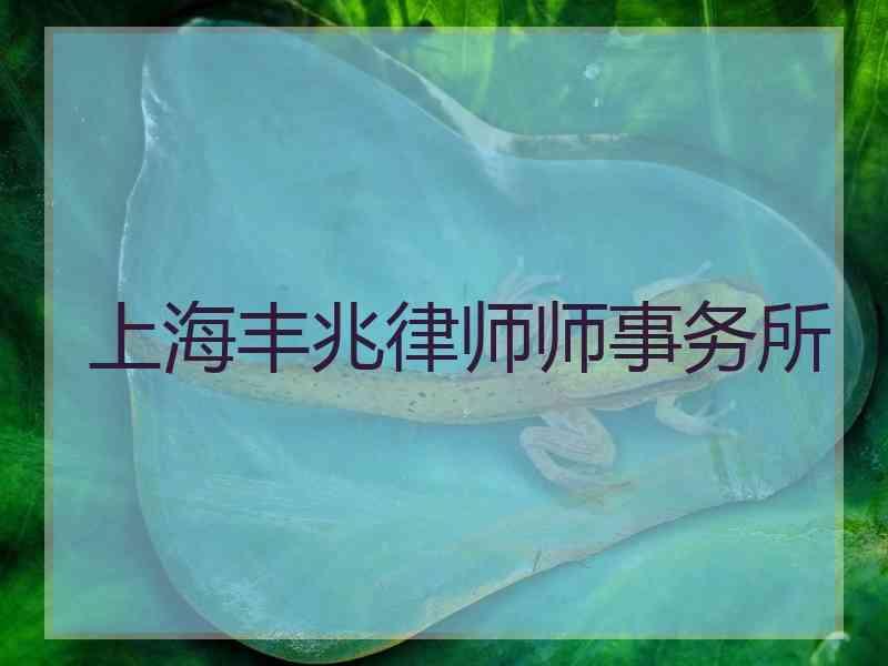 上海丰兆律师师事务所