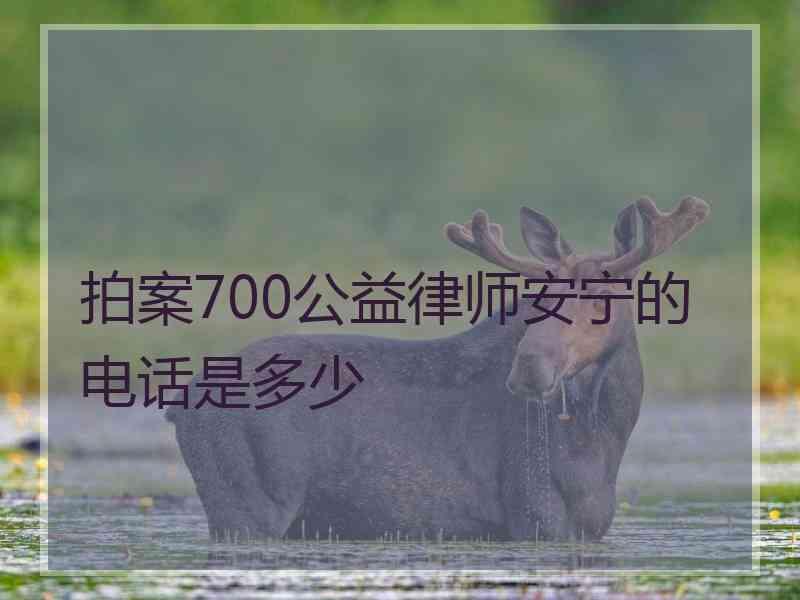 拍案700公益律师安宁的电话是多少