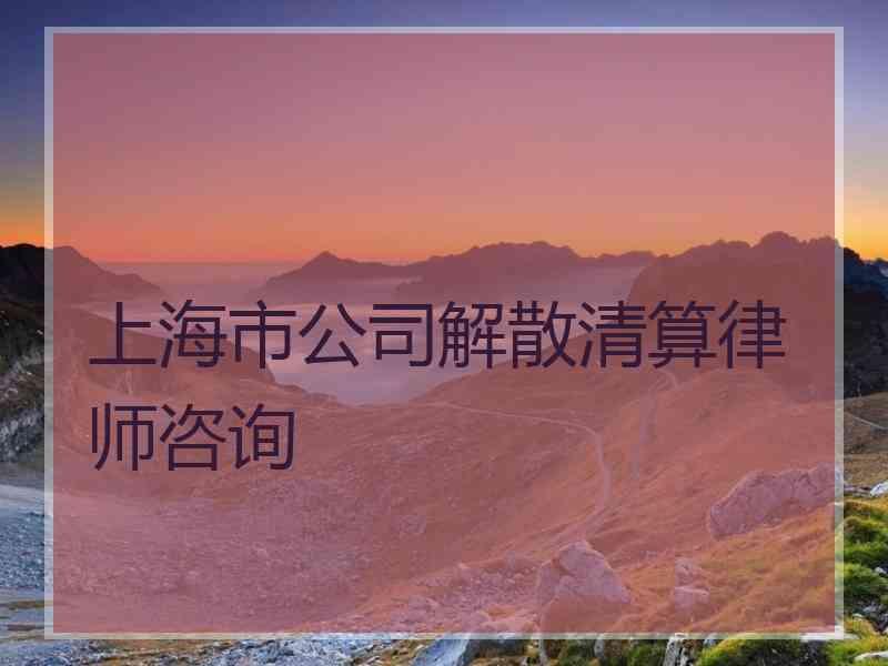 上海市公司解散清算律师咨询